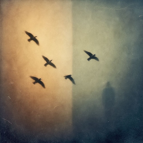 Artwork for Dividing Time by Peter Corvaia.